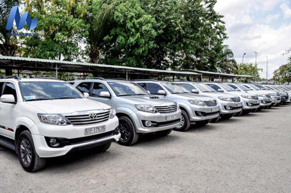 Minh Hòa Car Rental - Dịch vụ cho thuê xe đảm bảo chất lượng và an toàn