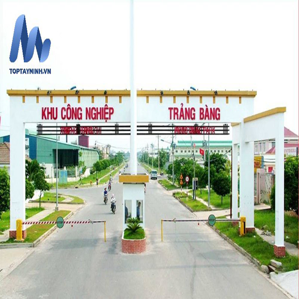 Tiềm năng thị trường làm việc tại Trảng Bàng - Tây Ninh