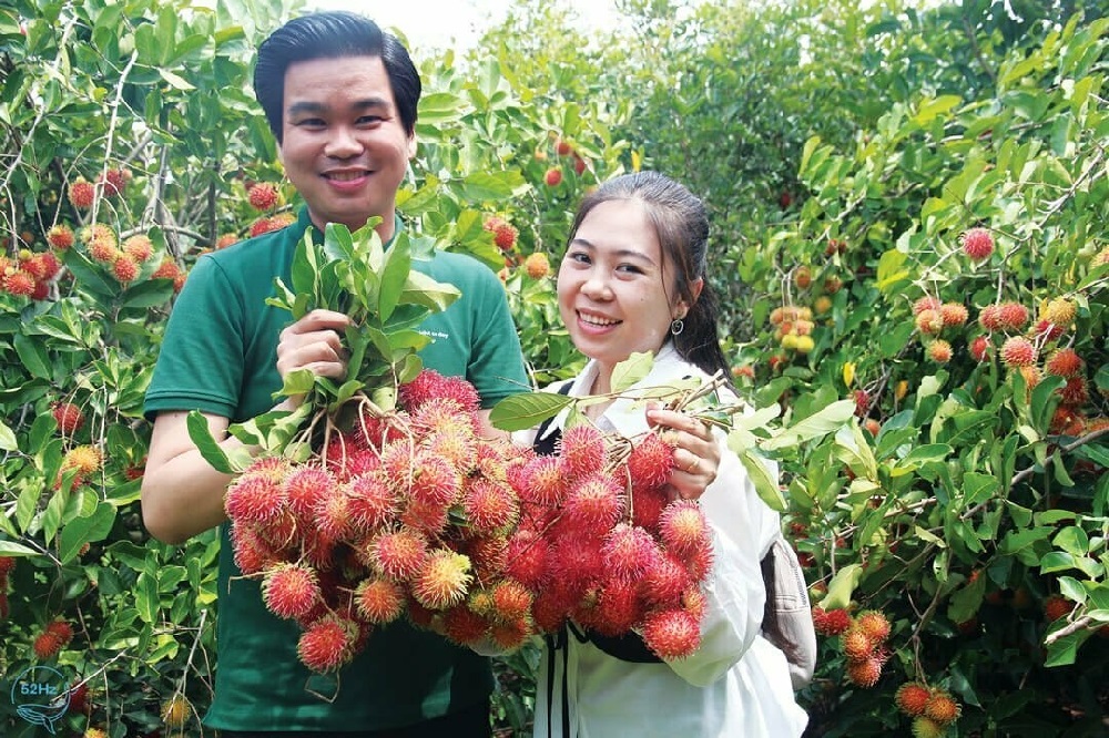 Vườn trái cây Minh Nhật