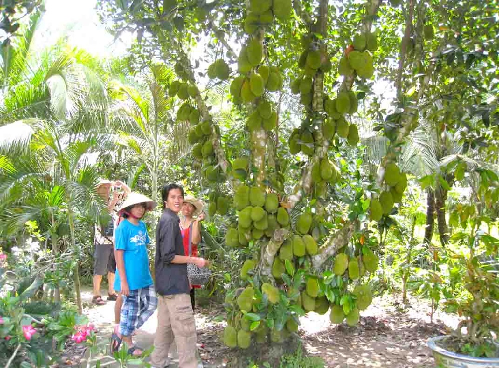 Vườn Trái Cây Minh Anh