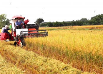 Bài cuối: Phấn đấu đến năm 2025, thực hiện đạt và vượt mục tiêu Nghị quyết Đại hội Đảng bộ tỉnh nhiệm kỳ 2020-2025 