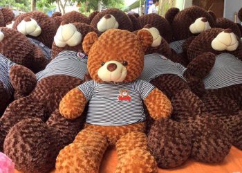 Gấu bông teddy giá rẻ tại TP. HCM, Tây Ninh