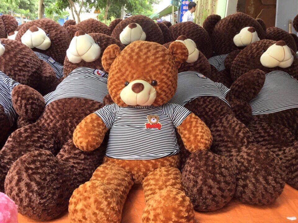Gấu bông teddy giá rẻ tại TP. HCM, Tây Ninh
