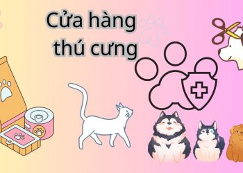 Toplist 10 Cửa hàng thú cưng Tây Ninh đa năng cho các Boss