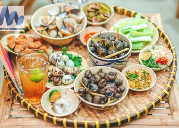 Giá Ốc Hải Đảo - Chuyên các loại ốc