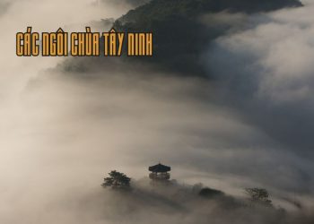 Toplist 12 ngôi chùa Tây Ninh - Điểm đến tâm linh hấp dẫn cho du khách