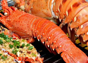 hải sản Tây Ninh