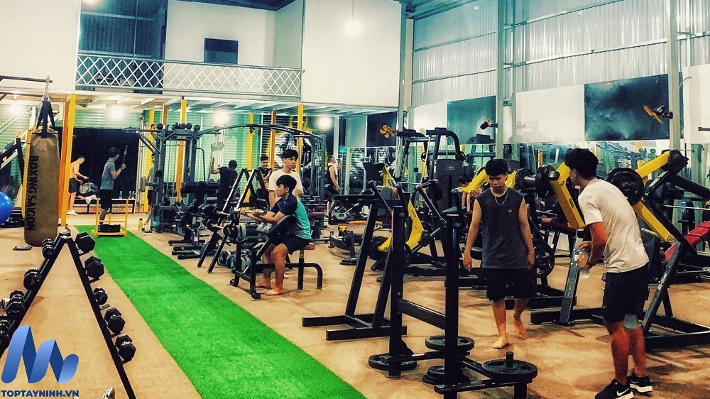 Nguyễn Gym Tây Ninh - nơi rèn luyện sức khỏe uy tín nhất 