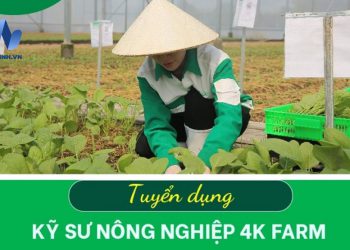 Tuyển dụng kỹ sư nông nghiệp