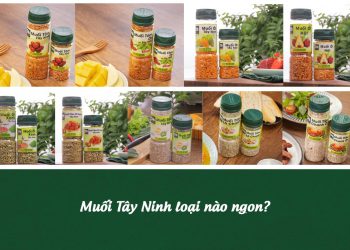 Toplist 8 loại muối ớt Tây Ninh - Đặc sản du khách không nên bỏ lỡ