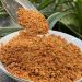 Muối tôm bao nhiêu tiền? Toplist 5 điều thú vị về muối tôm Tây Ninh