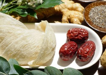 Công Ty Tnhh Mtv Yến Sào Tây Ninh